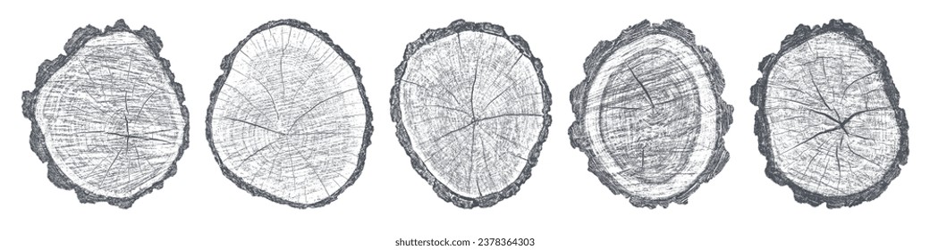 Conjunto de textura de madera en peligro sobre fondo blanco. Los anillos de los árboles de sección transversal cortan la rebanada. Elementos de diseño de madera redonda. Ilustración del vector, EPS 10.