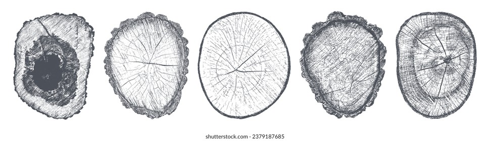 Conjunto de textura de madera en peligro sobre fondo blanco. Los anillos de los árboles de sección transversal cortan la rebanada. Elementos de diseño de madera redonda. Ilustración del vector, EPS 10.