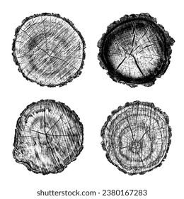 Satz von bedrückter Holzstruktur auf weißem Hintergrund. Schnittbaumringe schneiden Scheiben. Rundhölzernes Design. Vektorgrafik, EPS10.