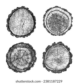 Wood texture cross section of tree rings. Cut slice of wooden stump isolated on white. Textured surface with rings and cracks. Black background made of hardwood from the forest. Vector illustration.