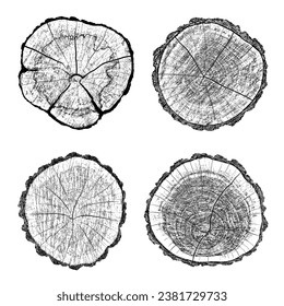 Wood texture cross section of tree rings. Cut slice of wooden stump isolated on white. Textured surface with rings and cracks. Black background made of hardwood from the forest. Vector illustration.