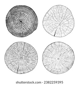 Satz von bedrückter Holzstruktur auf weißem Hintergrund. Schnittbaumringe schneiden Scheiben. Rundhölzernes Design. Vektorgrafik, EPS10.