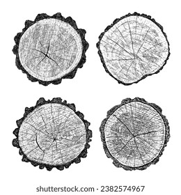 Wood texture cross section of tree rings. Cut slice of wooden stump isolated on white. Textured surface with rings and cracks. Black background made of hardwood from the forest. Vector illustration.