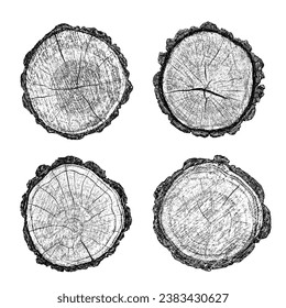 Wood texture cross section of tree rings. Cut slice of wooden stump isolated on white. Textured surface with rings and cracks. Black background made of hardwood from the forest. Vector illustration.