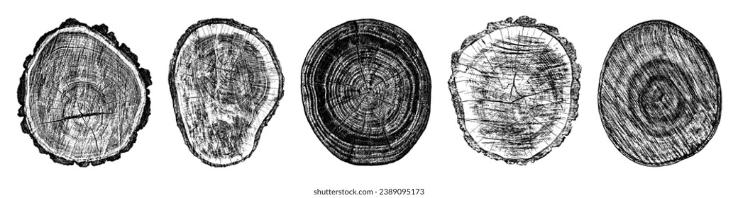Conjunto de textura de madera en peligro sobre fondo blanco. Los anillos de los árboles de sección transversal cortan la rebanada. Elementos de diseño de madera redonda. Ilustración del vector, EPS 10.