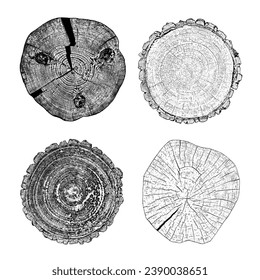 Satz von bedrückter Holzstruktur auf weißem Hintergrund. Schnittbaumringe schneiden Scheiben. Rundhölzernes Design. Vektorgrafik, EPS10.