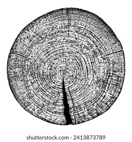 Holzstrukturquerschnitt von Baumringen. Eine Scheibe Holzstumpf einzeln auf Weiß schneiden. Texturierte Oberfläche mit Ringen und Rissen. Schwarzer Hintergrund aus Hartholz aus dem Wald. Vektorgrafik.