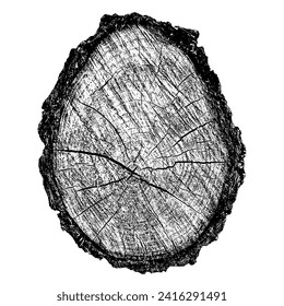 Sección transversal de textura de madera de los anillos de árbol. Cortar trozos de trozo de madera aislados en blanco. Superficie texturada con anillos y grietas. Fondo negro hecho de madera dura del bosque. Ilustración vectorial.