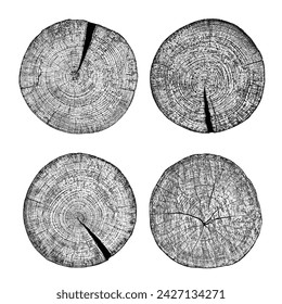 Wood texture cross section of tree rings. Cut slice of wooden stump isolated on white. Textured surface with rings and cracks. Black background made of hardwood from the forest. Vector illustration.