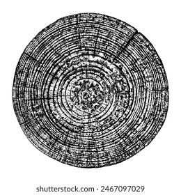 Wood texture cross section of tree rings. Cut slice of wooden stump isolated on white. Textured surface with rings and cracks. Black background made of hardwood from the forest. Vector. EPS 10.