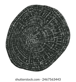Holzstruktur Querschnitt von Baumringen. Schnitte von Holzstumpf isoliert auf weiß. Texturierte Oberfläche mit Ringen und Rissen. Schwarzer Hintergrund aus Hartholz aus dem Wald. Vektorgrafik. EPS 10.