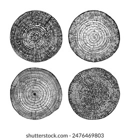 Wood texture cross section of tree rings. Cut slice of wooden stump isolated on white. Textured surface with rings and cracks. Black background made of hardwood from the forest. Vector illustration.