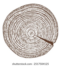 Wood texture cross section of tree rings. Cut slice of wooden stump isolated on white. Textured surface with rings and cracks. Brown background made of hardwood from the forest. Vector. EPS 10.