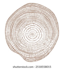 Holzstrukturquerschnitt von Baumringen. Schnitt Scheibe aus Holzstumpf, einzeln auf weiß. Texturierte Oberfläche mit Ringen und Rissen. Brauner Hintergrund aus Hartholz aus dem Wald. Vektor. EPS 10.