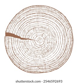 Textura de madera sección transversal de anillos de árbol. Corte la rebanada de tocón de madera aislado en blanco. Superficie texturizada con anillos y grietas. Fondo marrón hecho de madera dura del bosque. Vector. EPS 10.