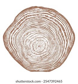 Textura de madera sección transversal de anillos de árbol. Corte la rebanada de tocón de madera aislado en blanco. Superficie texturizada con anillos y grietas. Fondo marrón hecho de madera dura del bosque. Vector. EPS 10.