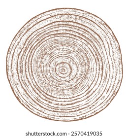 Wood texture cross section of tree rings. Cut slice of wooden stump isolated on white. Textured surface with rings and cracks. Brown background made of hardwood from the forest. Vector illustration.