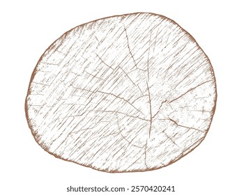 Wood texture cross section of tree rings. Cut slice of wooden stump isolated on white. Textured surface with rings and cracks. Brown background made of hardwood from the forest. Vector illustration. 