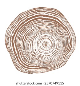 Wood texture cross section of tree rings. Cut slice of wooden stump isolated on white. Textured surface with rings and cracks. Brown background made of hardwood from the forest. Vector illustration.