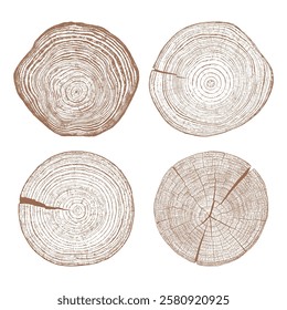 Wood texture cross section of tree rings. Cut slice of wooden stump isolated on white. Textured surface with rings and cracks. Brown background made of hardwood from the forest. Set vector.