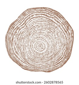 Wood texture cross section of tree rings. Cut slice of wooden stump isolated on white. Textured surface with rings and cracks. Brown background made of hardwood from the forest. Vector. EPS 10.