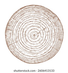 Wood texture cross section of tree rings. Cut slice of wooden stump isolated on white. Textured surface with rings and cracks. Brown background made of hardwood from the forest. Vector. EPS 10.