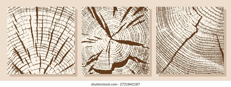 Textura de madeira. Seção transversal, anéis de crescimento, rachaduras e lascas. Ilustração vetorial.