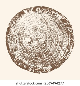 Wood texture cross-section of tree rings. Round section of trunk, growth layers close-up. Vector image.