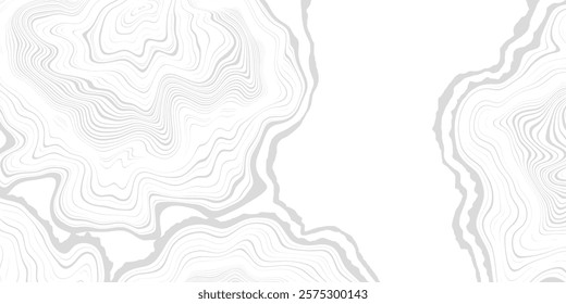 Wood texture frame, wood plank, gray lines on white background, vector design