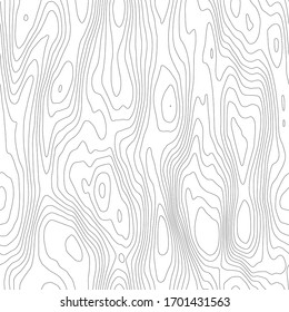 Wood Texture Imitation, Seamless Pattern. Black Lines On White Background, Vector Design. 