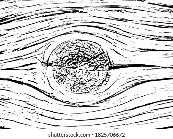 Wood texture with knot. vector background