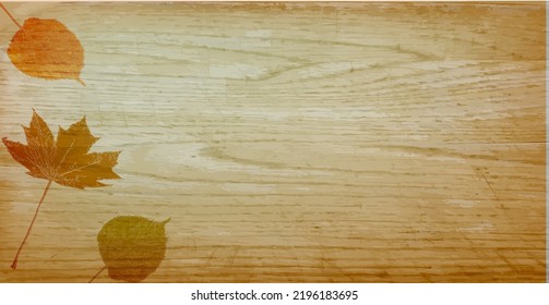 Wood texture and leaves vector background.