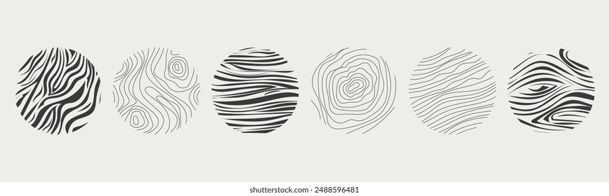 Wood texture material doodle hand drawn line. Tree trunk geometric curve and wave contour. Rings and circles. 