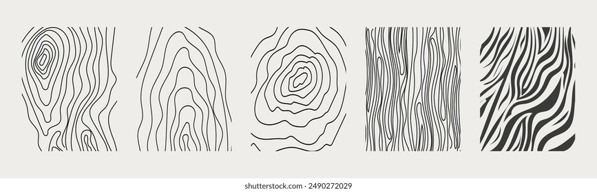 Wood texture material doodle hand drawn line. Tree trunk geometric curve and wave contour. Rings and circles. 