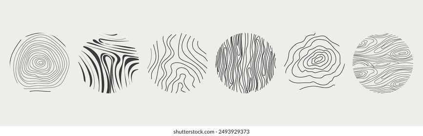 Wood texture material doodle hand drawn line. Tree trunk geometric curve and wave contour. Rings and circles. 