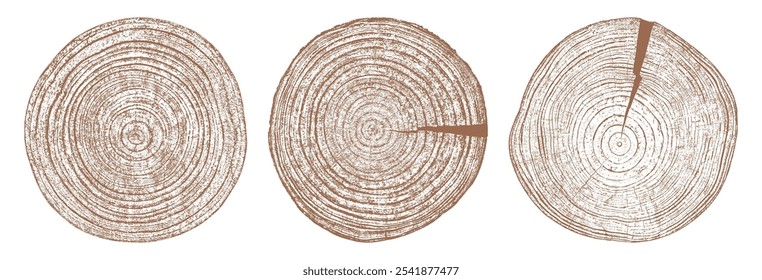 Textura de madera de árbol. Tronco viejo de madera. Corta troncos de madera. Anillos Abstractas patrón de la naturaleza. Tocón de círculo marrón. Sección transversal de madera. Fija la Ilustración vectorial. EPS 10.
