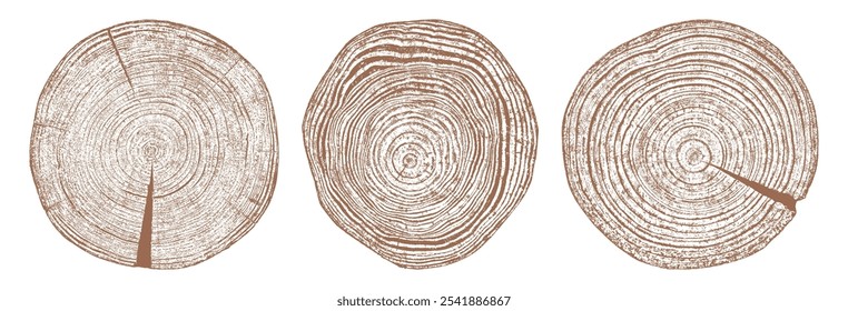 Baumstruktur. Alter Holzstamm. Holzstamm schneiden. Abstrakte Ringe Naturmuster. Brauner Kreisstumpf. Holzquerschnitt. Legen Sie eine Vektorgrafik fest. EPS 10.