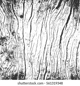 Wood texture, vector