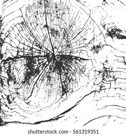 Wood texture, vector