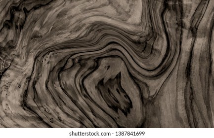 Wood texture vector background. Natural wood texture background