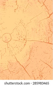 Wood texture, vector Eps10 illustration. Wood cross section.