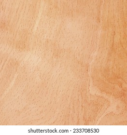 Wood texture.  Vector illustration
