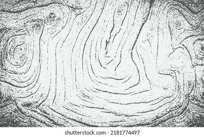 Textura de madera blanca y negra. Textura superpuesta del patrón de planchas de madera. Efecto De Esbozo Grunge. Motivo de la raja para la pared de diseño, el suelo, el rústico, el viejo, el suelo. Ilustración del vector de fondo abstracto