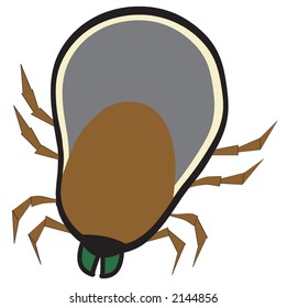 Wood tick