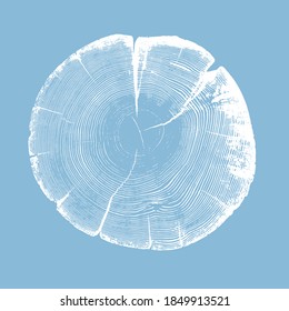 Wood Tree Art Texture Stamp For Card Or Background. Detailed Tree Ring Design. Rough Organic Tree Rings With Close Up Of End Grain.
