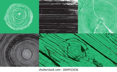 Wood Tree Art Texture Stamp For Card Or Background. Detailed Tree Ring Design. Rough Organic Tree Rings With Close Up Of End Grain.