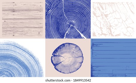 Wood Tree Art Texture Stamp For Card Or Background. Detailed Tree Ring Design. Rough Organic Tree Rings With Close Up Of End Grain.
