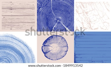 Wood tree art texture stamp for card or background. Detailed tree ring design. Rough organic tree rings with close up of end grain.
