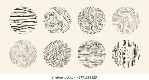 Wood tree pattern texture icon, trunk with annual circle line of age pictogram, set vector design