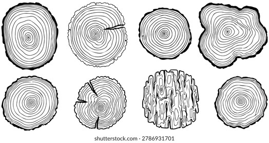 Wood tree ring collection illustration featuring natural log texture forest growth and timber pattern concept for organic design projects